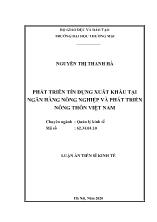 Luận án Phát triển tín dụng xuất khẩu tại ngân hàng nông nghiệp và phát triển nông thôn Việt Nam