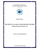 Luận án Thị trường lao động thành phố Hồ Chí Minh trong hội nhập quốc tế