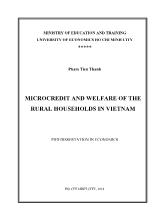 Microcredit and welfare of the rural households in Vietnam