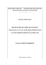 Mối quan hệ giữa hiệu quả sử dụng nguồn lực của các ngân hàng thương mại, tăng trưởng kinh tế tại Việt Nam