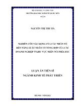 Luận án Nghiên cứu tác động của các nhân tố đến năng suất nhân tố tổng hợp của các doanh nghiệp ở khu vực miền núi phía Bắc