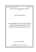 Luận án Đặc điểm hình thái nhô xương ổ hai hàm, hiệu quả điều trị của phương pháp dây thẳng và phương pháp biocreative