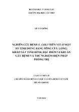 Luận án Nghiên cứu bệnh E. Coli trên vịt ở một số tỉnh đồng bằng sông Cửu Long: Khảo sát tình hình, đặc điểm vi khuẩn gây bệnh và thử nghiệm biện pháp phòng trị