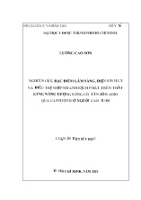 Luận án Nghiên cứu đặc điểm lâm sàng, điện sinh lý và điều trị nhịp nhanh kịch phát trên thất bằng năng lượng sóng có tần số radio qua catheter ở người cao tuổi