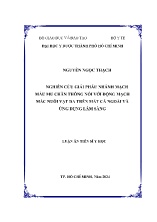 Luận án Nghiên cứu giải phẫu nhánh mạch máu mu chân thông nối với động mạch mác nuôi vạt da trên mắt cá ngoài và ứng dụng lâm sàng