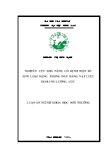 Luận án Nghiên cứu khả năng cố định một số kim loại nặng trong đất bằng vật liệu zeolite lưỡng cực