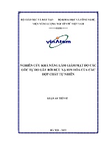 Luận án Nghiên cứu khả năng làm giảm mật độ các gốc tự do gây bởi bức xạ ion hóa của các hợp chất tự nhiên