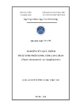 Luận án Nghiên cứu quá trình phát sinh phôi soma sâm lang bian (Panax vietnamensis var. langbianensis)