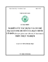 Luận án Nghiên cứu tác dụng và cơ chế hạ glucose huyết của hạt chuối cô đơn (ensete glaucum (roxb.) cheesman) trên thực nghiệm